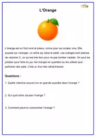 Aperçu - Feuilles d'exercices - 40 textes de thèmes différents - Page 3