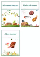 Vorschau - Stationenlernen - Ernährung der Tiere – Zuordnungskarten Pflanzenfresser, Fleischfresser & Allesfresser 1 | 30 Tiere | differenziert Kita bis Klasse 2 | DaZ - Seite 1