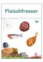 Vorschau - Stationenlernen - Ernährung der Tiere – Zuordnungskarten Pflanzenfresser, Fleischfresser & Allesfresser 1 | 30 Tiere | differenziert Kita bis Klasse 2 | DaZ - Seite 3