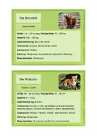 Vorschau - Stationenlernen - Bär, Wolf, Fuchs & co. - Infokarten - Seite 1