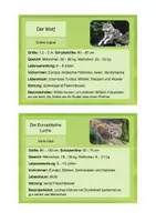 Vorschau - Stationenlernen - Bär, Wolf, Fuchs & co. - Infokarten - Seite 2