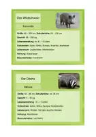 Vorschau - Stationenlernen - Bär, Wolf, Fuchs & co. - Infokarten - Seite 3
