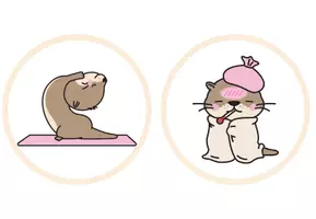 Vorschau - Bildkarten - Gefühlslegekreis für deine Otterklasse - Seite 2