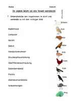 Vorschau - Arbeitsblätter - Wort im Wort - Vögel finden - Freiarbeit - Seite 3