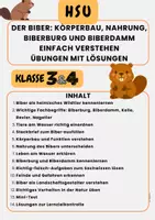 Vorschau - Arbeitsblätter - Materialpaket - Tiere im Winter Eichhörnchen, Reh, Maulwurf, Fuchs & Igel Klasse 3 & Klasse 4 - Seite 1