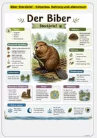 Vorschau - Arbeitsblätter - Materialpaket - Tiere im Winter Eichhörnchen, Reh, Maulwurf, Fuchs & Igel Klasse 3 & Klasse 4 - Seite 2