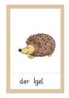 Vorschau - Bildkarten - Bildkarten zu Waldtieren (2-fach differenziert) - Seite 3