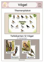 Vorschau - Poster - Vögel- Tafelkarten, Themenplakat - Seite 1