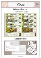 Vorschau - Arbeitsblätter - Vögel- Wissenskartei, Steckbrief - Deckblatt
