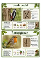 Vorschau - Arbeitsblätter - Vögel- Wissenskartei, Steckbrief - Seite 2
