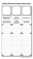 Vorschau - Arbeitsblätter - Biologie Paket – 17 Materialien PLUS Lernposter: Evolution, Ökologie & Körper - Seite 2