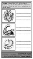 Vorschau - Arbeitsblätter - Biologie Paket – 17 Materialien PLUS Lernposter: Evolution, Ökologie & Körper - Seite 3