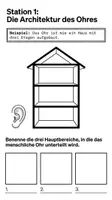 Vorschau - Arbeitsblätter - Sinnesorgan Ohr - Lernwerkstatt PLUS Lernposter - Seite 2