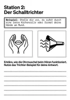 Vorschau - Arbeitsblätter - Sinnesorgan Ohr - Lernwerkstatt PLUS Lernposter - Seite 3