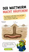 Vorschau - Bildkarten - QUAPPIZ Kindernews - Wer lebt im Watt? - Seite 1