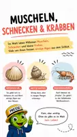 Vorschau - Bildkarten - QUAPPIZ Kindernews - Wer lebt im Watt? - Seite 2