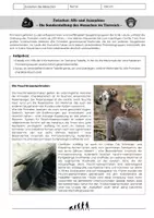 Vorschau - Arbeitsblätter - Evolution des Menschen – Der Mensch im Tierreich - Seite 2