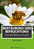 Vorschau - Arbeitsblätter - Bestäubung und Befruchtung: Abbildung und Arbeitsblatt - Deckblatt