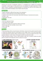 Aperçu - Préparation de séance / Séance complète - Dissection de la Fleur d'Angiosperme - Page de couverture