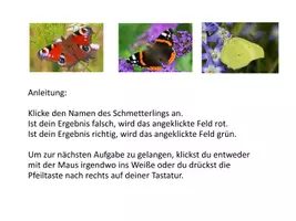 Vorschau - Spiele - Interaktives Power-Point-Quiz: Schmetterlinge bestimmen - Seite 2