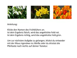 Vorschau - Spiele - Interaktives Power-Point-Quiz: Frühblüher bestimmen - Seite 1