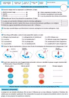 Aperçu - Feuilles d'exercices - Contrôle 2 Semestre 2 SVT(biologie) 3AC - Modèle 1 - Page de couverture