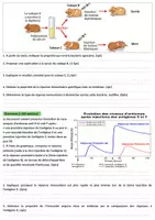 Aperçu - Feuilles d'exercices - Contrôle 2 Semestre 2 SVT 3AC - Modèle 2 - Page 1