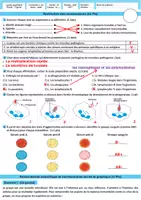 Aperçu - Apprentissages en autonomie - Correction du Contrôle 2 Semestre 2 SVT 3AC - M1 et M2 - Page 2
