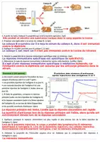 Aperçu - Apprentissages en autonomie - Correction du Contrôle 2 Semestre 2 SVT 3AC - M1 et M2 - Page 1