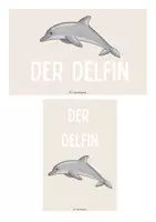 Vorschau - Text - Wissenskartei: Meerestiere - Seite 1
