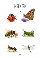 Vorschau - Mal- und Bastelvorlagen - Schmetterlinge im Kindergarten | Mitmachmaterial, Tafelbilder, Lebenszyklus, Insekten & Sachunterricht Vorschule - Seite 3