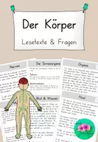 Vorschau - Arbeitsblätter - Körper Lesetexte und Fragen - Gruppenpuzzle - Deckblatt