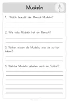 Vorschau - Arbeitsblätter - Körper Lesetexte und Fragen - Gruppenpuzzle - Seite 3