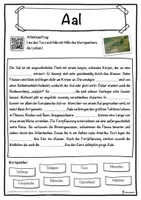 Vorschau - Unterrichtsreihen - Aal Lückentext mit Wortspeicher Hörverstehen und Suchsel - Seite 1