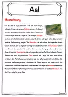 Vorschau - Unterrichtsreihen - Aal Lückentext mit Wortspeicher Hörverstehen und Suchsel - Seite 2