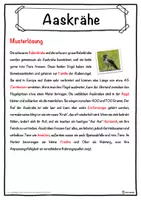 Vorschau - Unterrichtsreihen - Aaskrähe Lückentext mit Wortspeicher Hörverstehen und Suchsel - Seite 2