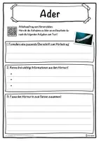 Vorschau - Unterrichtsreihen - Ader Lückentext mit Wortspeicher Hörverstehen und Suchsel - Seite 3