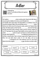Vorschau - Unterrichtsreihen - Adler Lückentext mit Wortspeicher Hörverstehen und Suchsel - Seite 1