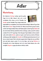 Vorschau - Unterrichtsreihen - Adler Lückentext mit Wortspeicher Hörverstehen und Suchsel - Seite 2