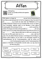 Vorschau - Unterrichtsreihen - Affen Lückentext mit Wortspeicher Hörverstehen und Suchsel - Seite 1