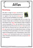 Vorschau - Unterrichtsreihen - Affen Lückentext mit Wortspeicher Hörverstehen und Suchsel - Seite 2