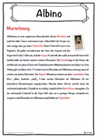Vorschau - Unterrichtsreihen - Albino Lückentext mit Wortspeicher Hörverstehen und Suchsel - Seite 2