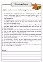 Vorschau - Arbeitsblätter - Kastanienbaum Lesetext einfach verständlich mit Aufgaben + Lösungen und Wortspeicher Leseverstehen - Seite 3