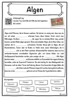 Vorschau - Unterrichtsreihen - Algen Lückentext mit Wortspeicher Hörverstehen und Suchsel - Seite 1