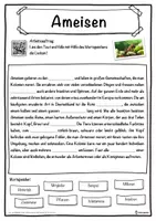 Vorschau - Unterrichtsreihen - Ameisen Lückentext mit Wortspeicher Hörverstehen und Suchsel - Seite 1