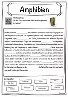 Vorschau - Unterrichtsreihen - Amphibien Lückentext mit Wortspeicher Hörverstehen und Suchsel - Seite 1