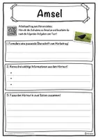 Vorschau - Unterrichtsreihen - Amsel Lückentext mit Wortspeicher Hörverstehen und Suchsel - Seite 3