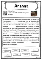 Vorschau - Unterrichtsreihen - Ananas Lückentext mit Wortspeicher Hörverstehen und Suchsel - Seite 1