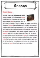 Vorschau - Unterrichtsreihen - Ananas Lückentext mit Wortspeicher Hörverstehen und Suchsel - Seite 2