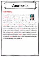 Vorschau - Unterrichtsreihen - Anatomie Lückentext mit Wortspeicher Hörverstehen und Suchsel - Seite 2